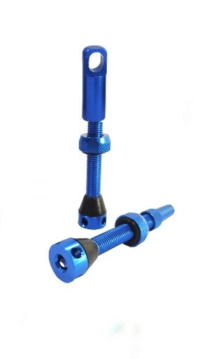 VALVULAS BIKE SHOP (2un)