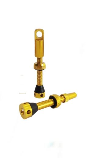 VALVULAS BIKE SHOP (2un)