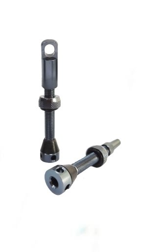 VALVULAS BIKE SHOP (2un)