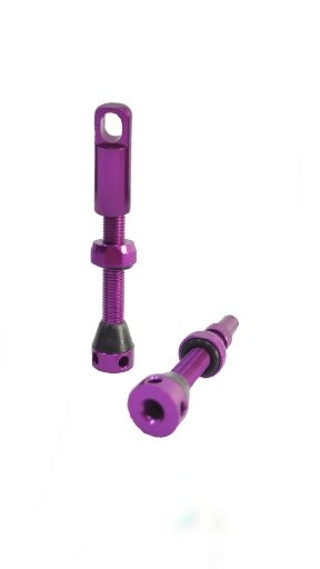 VALVULAS BIKE SHOP (2un)