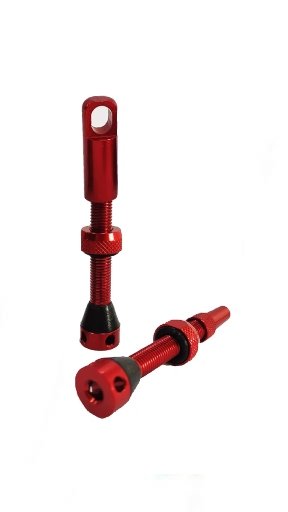 VALVULAS BIKE SHOP (2un)