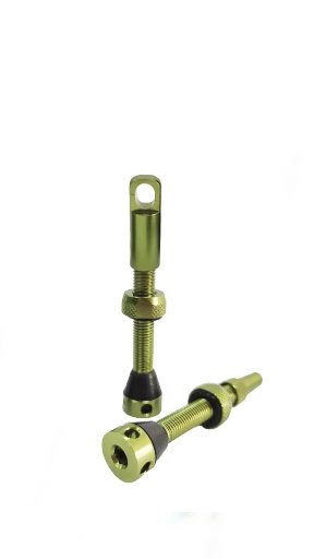 VALVULAS BIKE SHOP (2un)